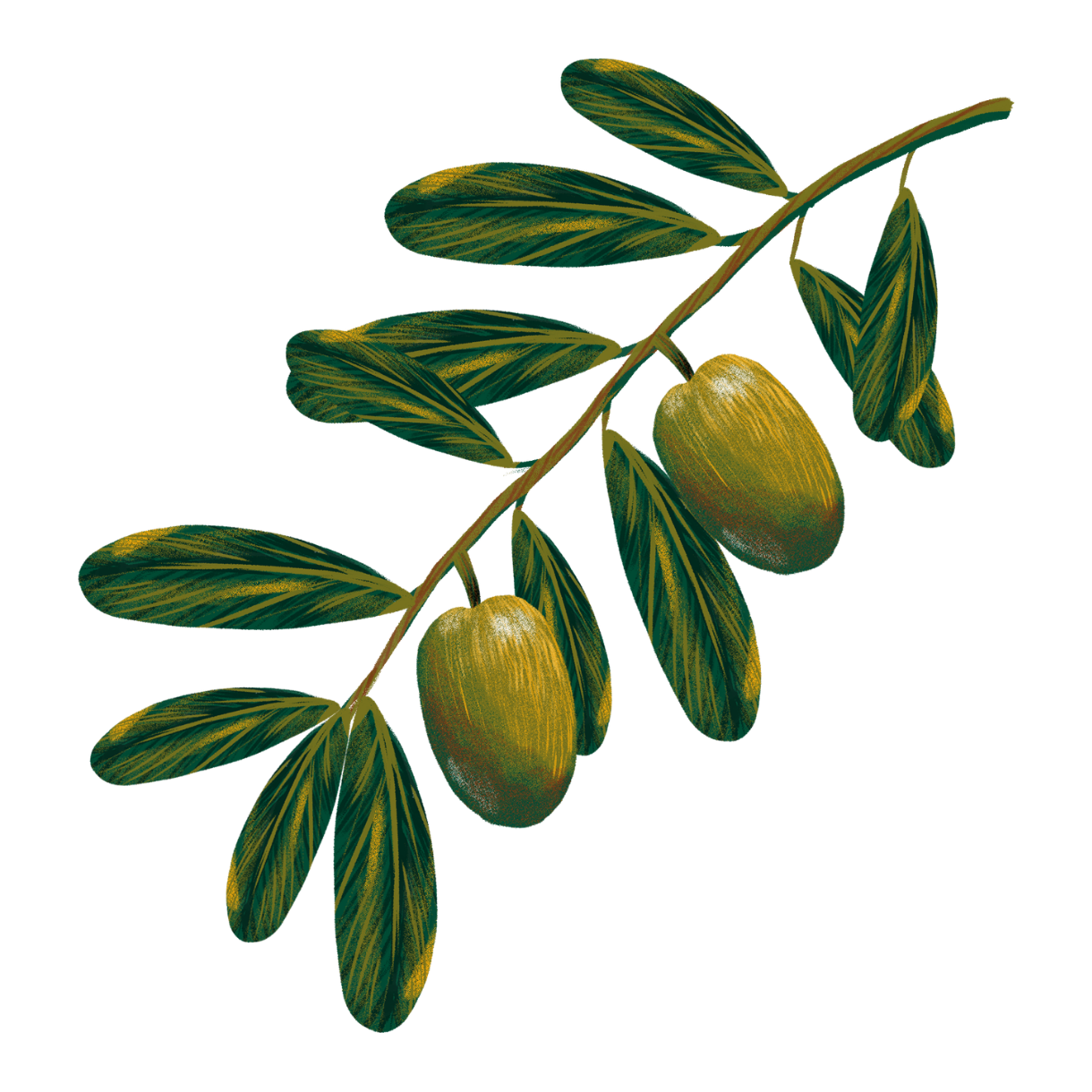 Materia prima